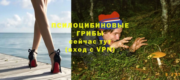 соль ск Абдулино