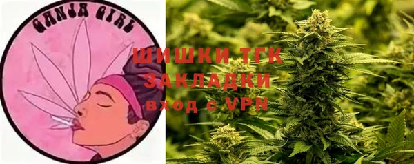 spice Абаза