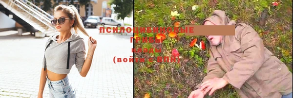 соль ск Абдулино